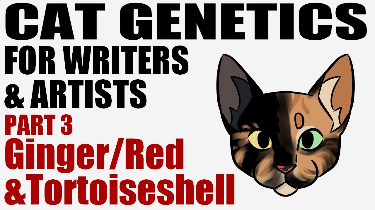 Cat Genetics for Writers & Artists part 3: Ginger/Red & Tortoiseshell [CC]
