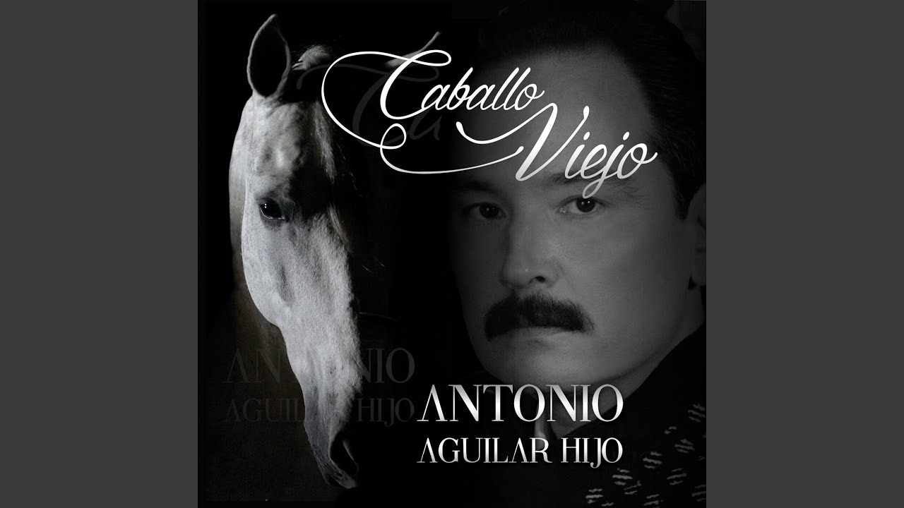Camino de Aguascalientes