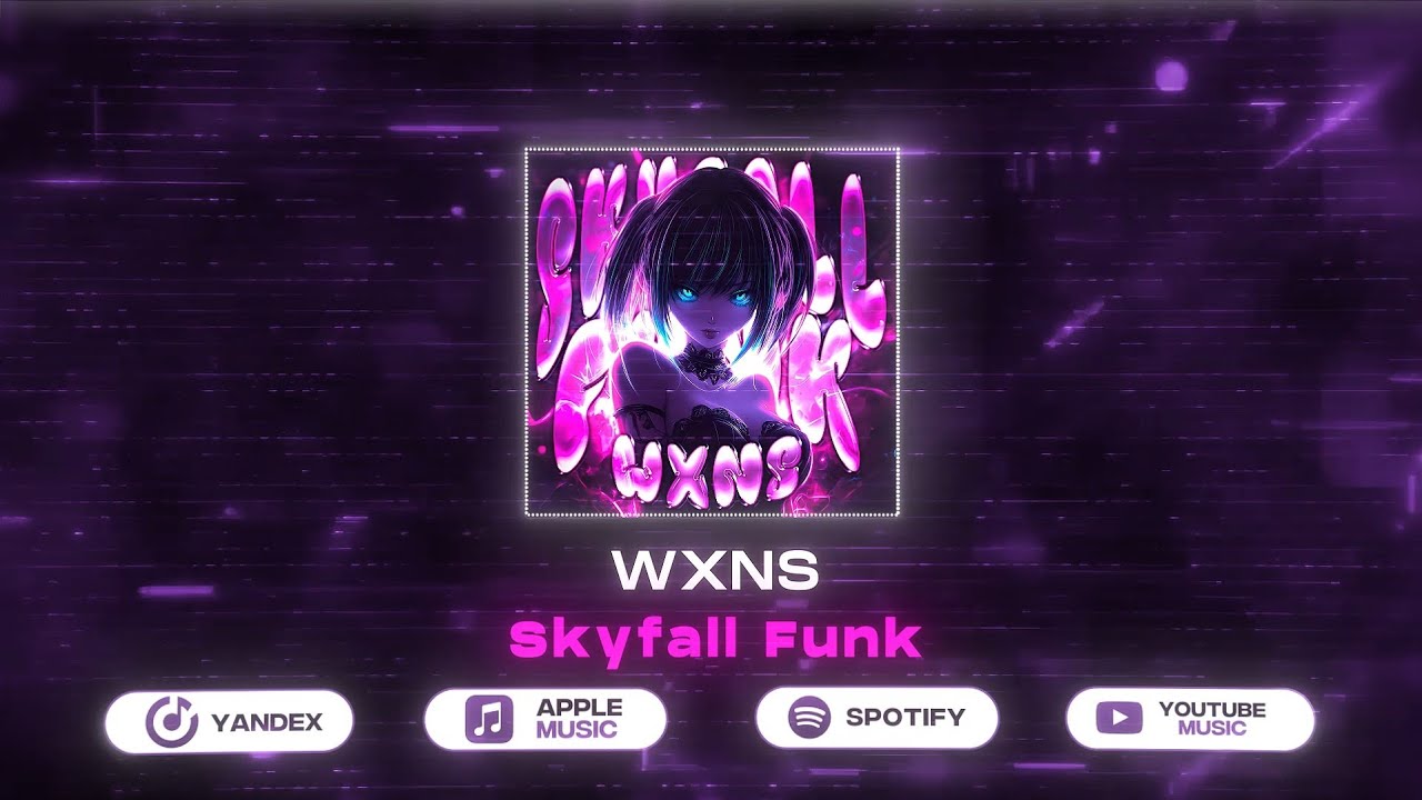 WXNS & GANG - Skyfall Funk