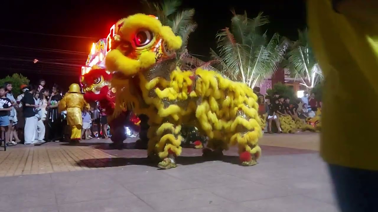 Đêm  múa lân,tại công viên