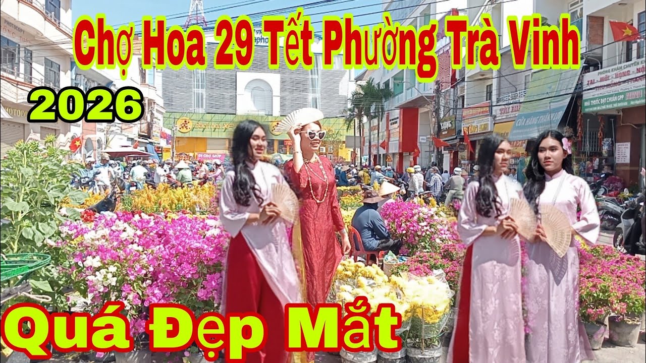 29 Tết Chợ Hoa Phường Trà Vinh Quá Đẹp 2026 