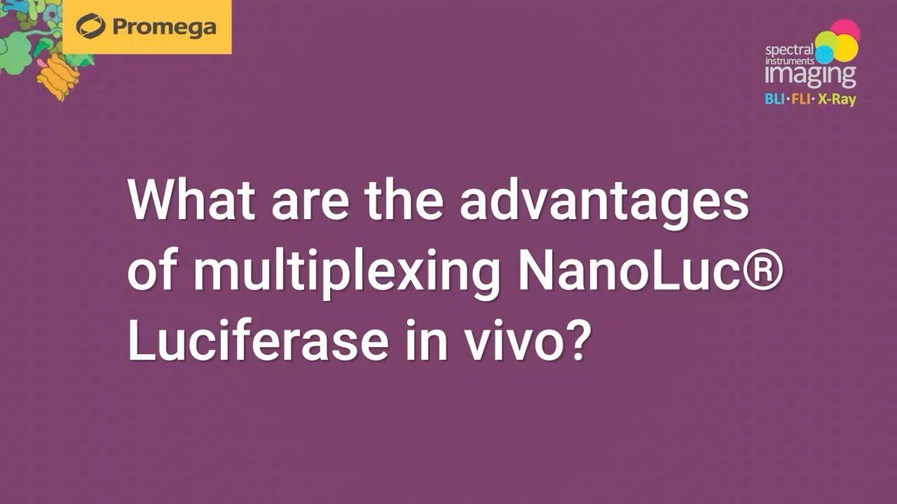 Simplify Imaging and Enhance Insights using Nano-Glo® Fluorofurimazine (FFz) Substrate