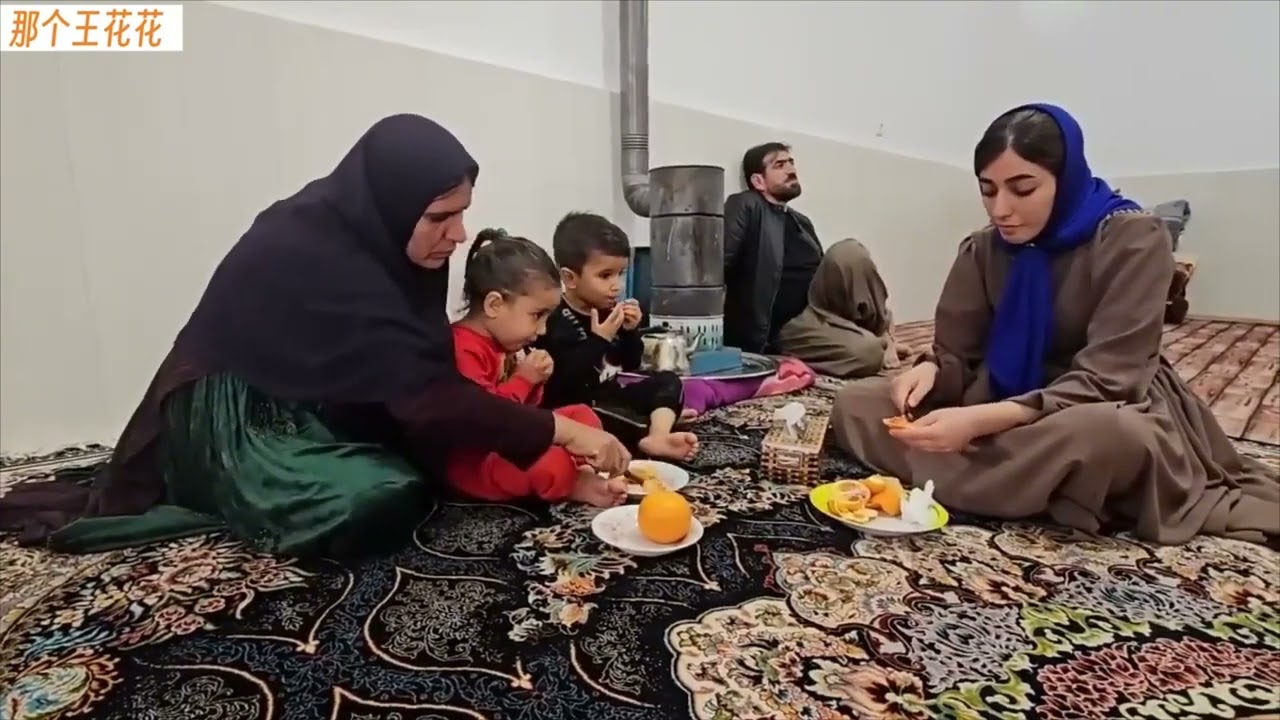 阿尔斯兰把萨利赫车祸的细节告诉了家人，法里巴意外来访