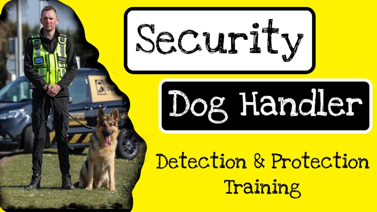 SECURITY DOG HANDLER - Detection & Protection Training