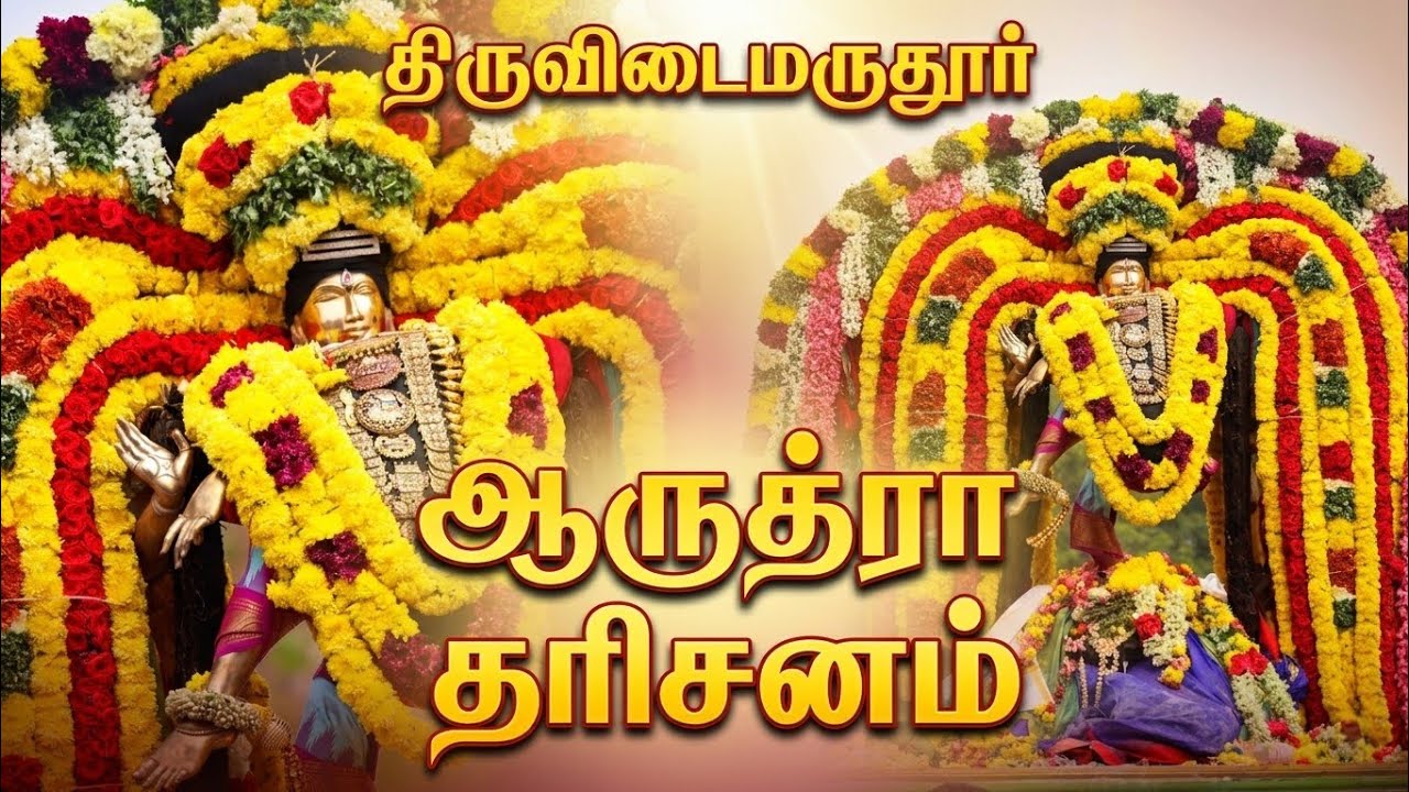 திருவிடைமருதூர் ஸ்ரீ நடராஜர் புறப்பாடு | @framesbyajs