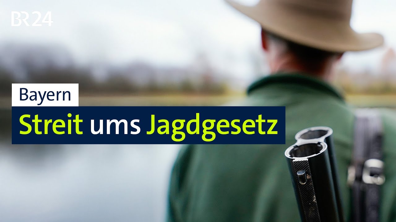 Aiwangers Jagdgesetz: Kritik von Forstministerin Kaniber und von Natursch&uuml;tzern | BR24
