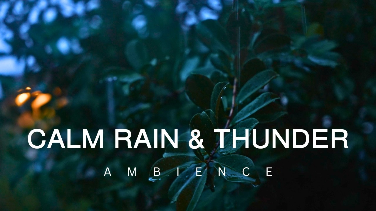 10 Hour | Rain Falling on Leaves with Distant Thunder & Wind Sounds | Relaxing Nature Ambience