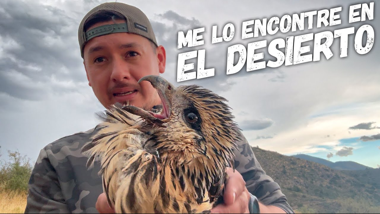 Estaba Muy Debil No Podia Ni Pararse