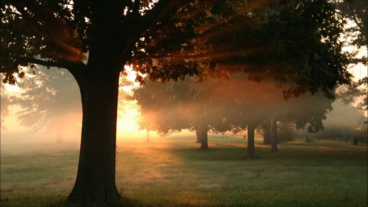 Abraham Hicks - HEAVEN