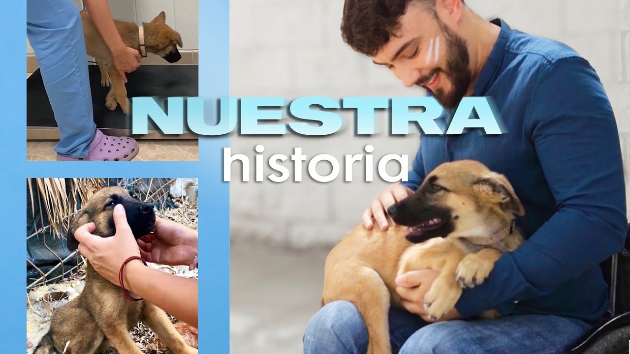 (actualización) PERRITA RESCATADA ⭐ Summer y Luippi