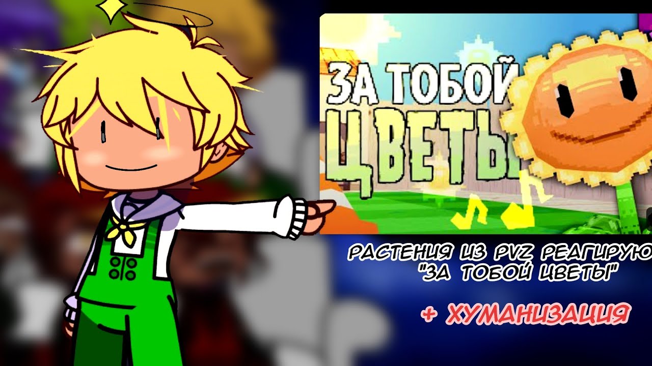 || Реакция растений из PVZ на 