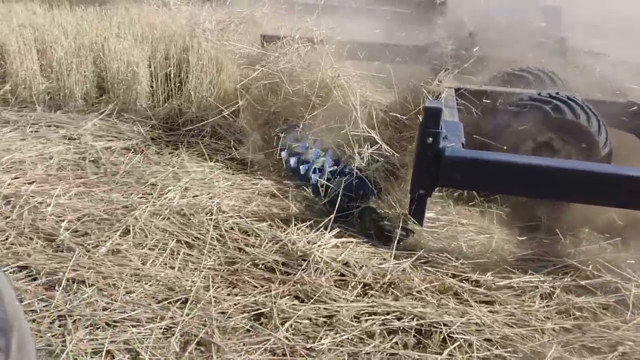 The Bute Turbine Blade in Action