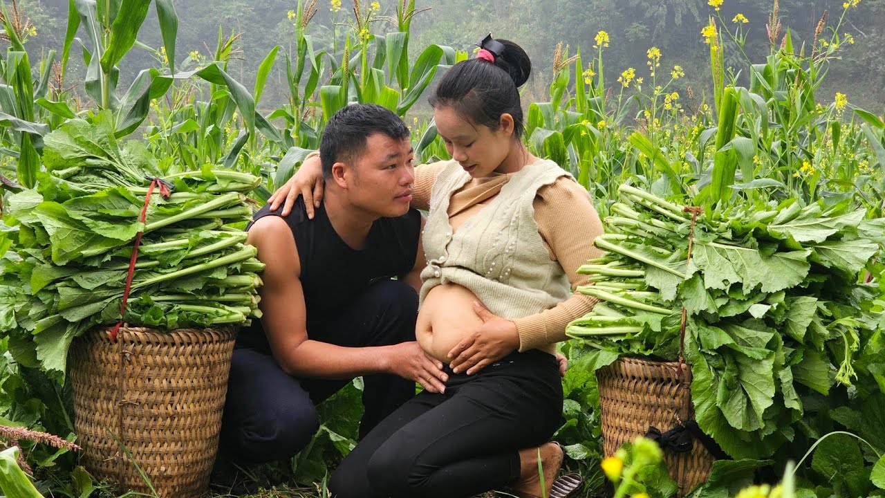 Harvesting and storing vegetables in the garden l L&yacute; Thị Sai