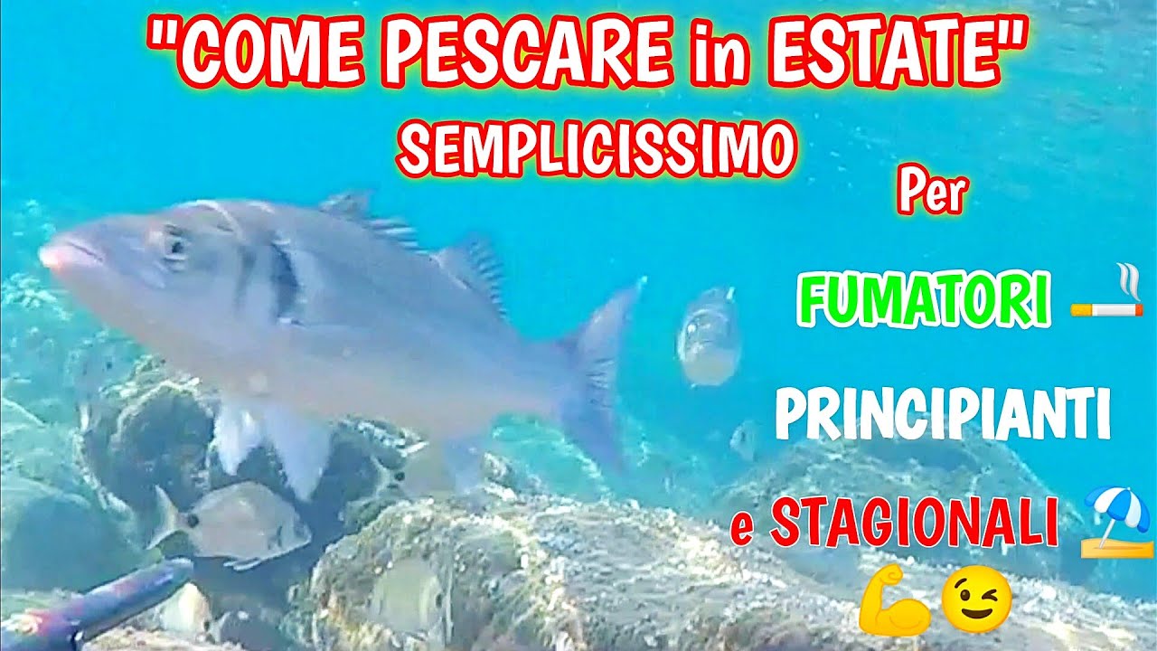 Подводная охота: КАК РЫБАЛИТЬ ЛЕТОМ🏖️ 