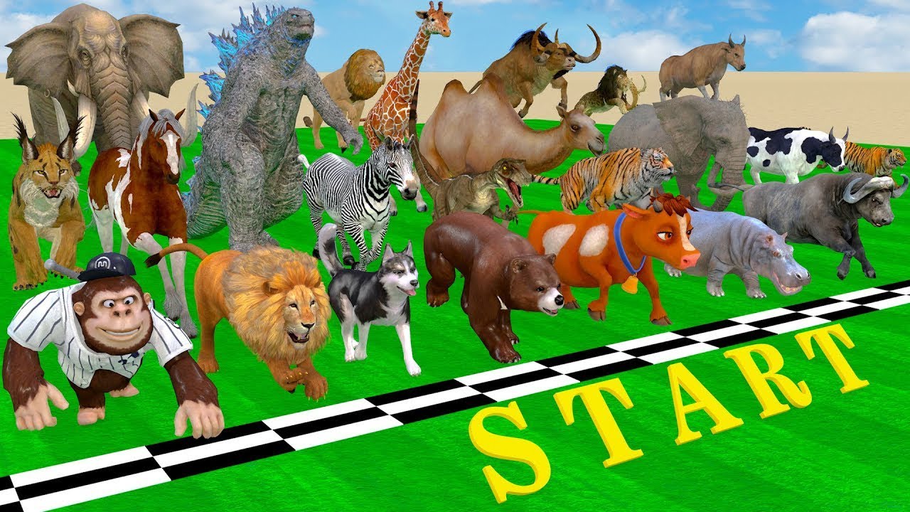 Incredible Animals Race vs Dinosaurs vs Prehistoric Mammals Speed Race Run: Who Will Win? #2026