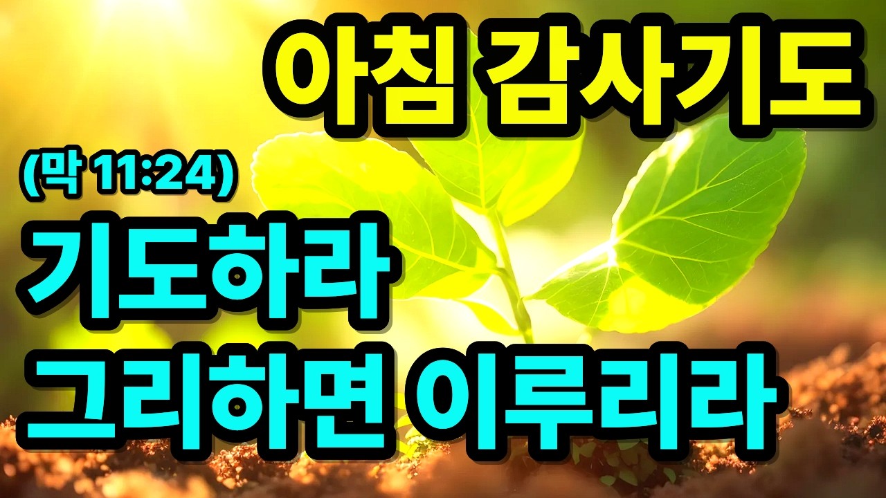 기도하며 오늘 하나님께서 예비하신 은혜를 받는 아침기도 | 아침을 여는 기도 | 하루시작기도 | 아침감사기도