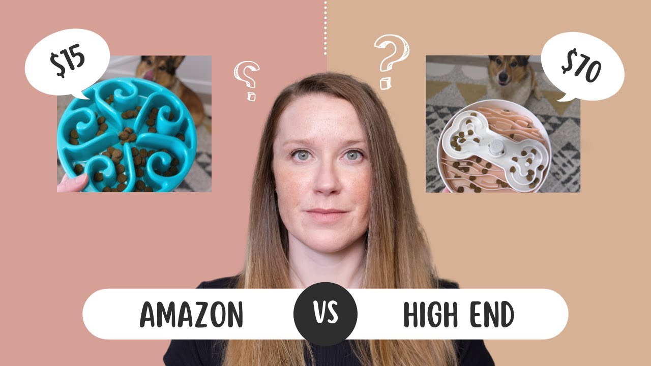 The SLOWEST Slow Feeder?! Which dog bowl wins?
