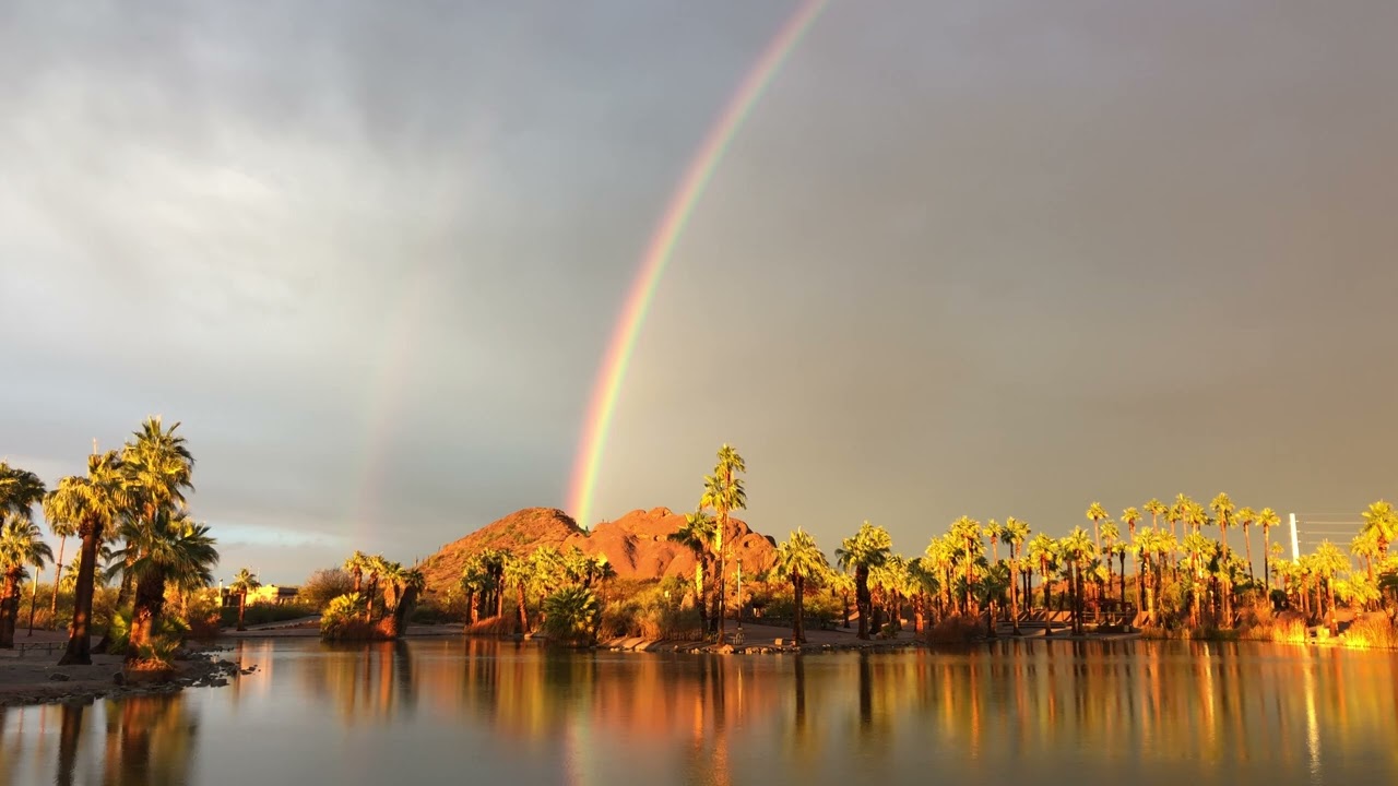 Desert Sounds 🌵 Bird Sounds of the Desert by an Arizona Lake 🏝 Oasis Nature Sounds - 4K