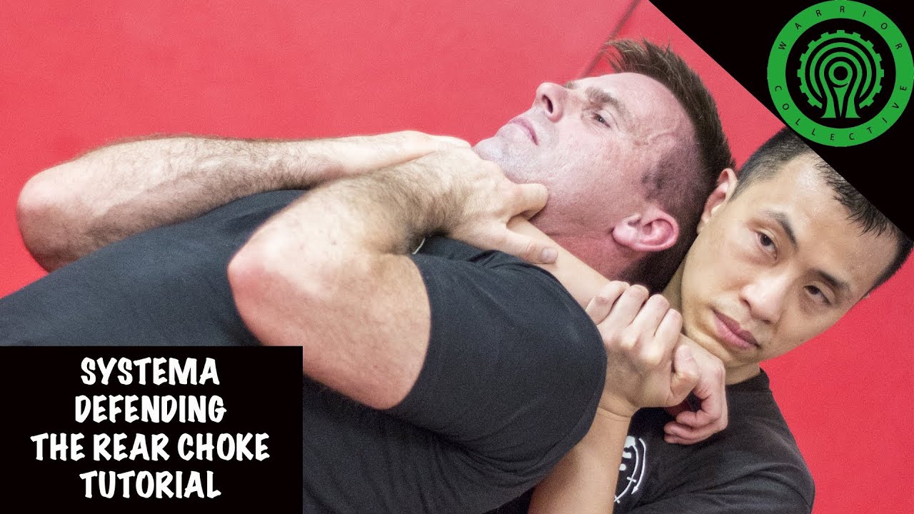 Система защищается от удушающего приема стоя сзади