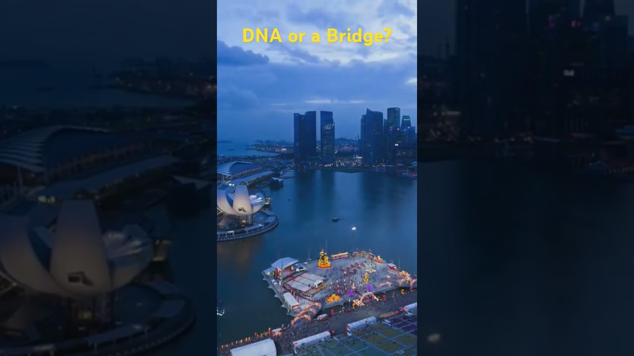 The Helix Bridge: The Singapore's DNA inspired Marvel #didyouknow @NatGeo