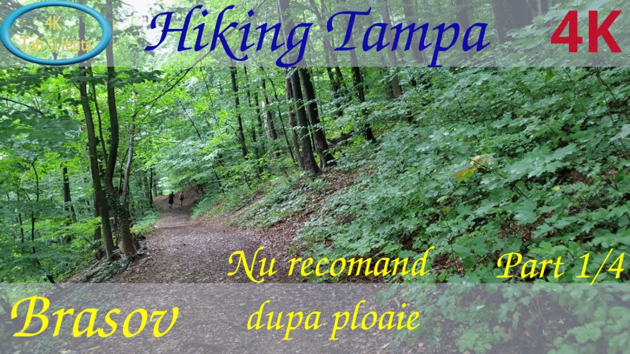 Hiking ~ Traseu serpentine spre vf Tampa ~ Brasov ~ part I~ Romania ~ 4k60fps ~ Drumetie