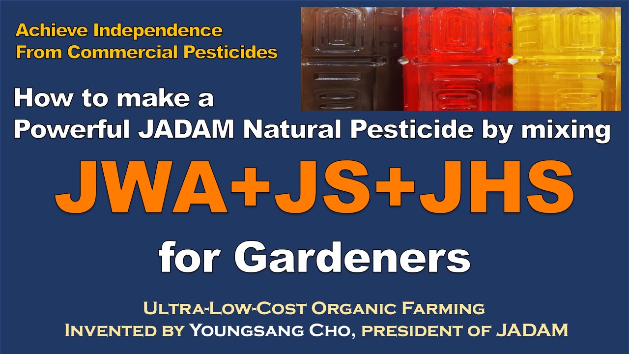 How to Make JADAM Natural Pesticide: The Golden Ratio (JWA + JS + JHS)