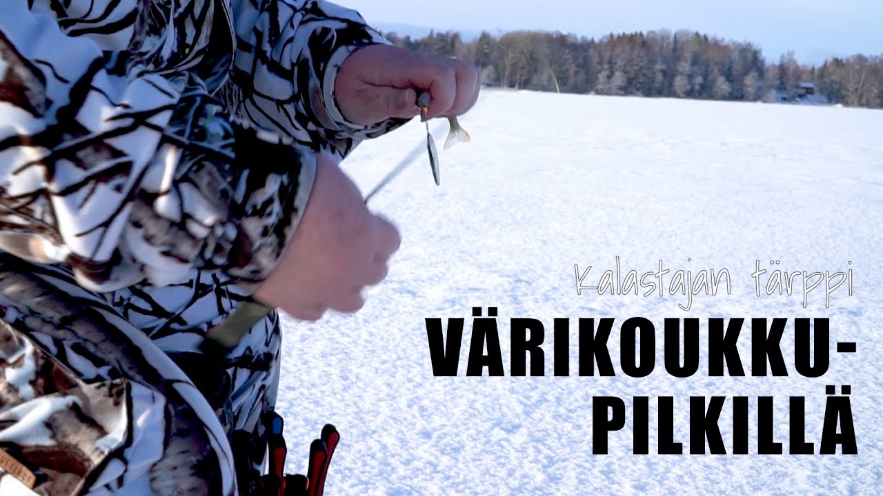 Värikoukkupilkillä
