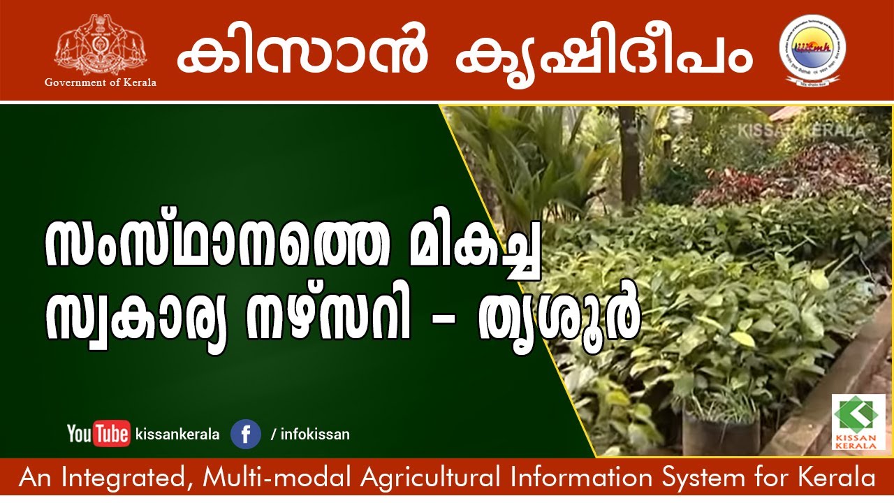State award winner for the best commercial nursery, Thrissur