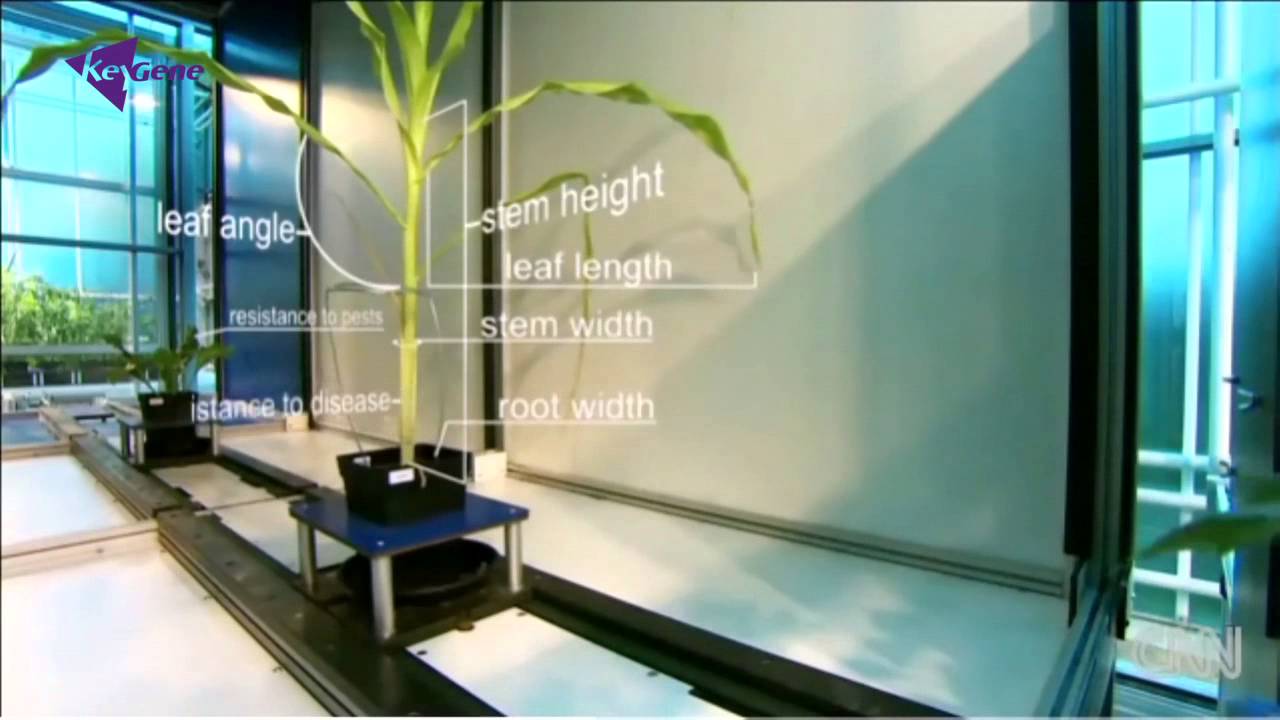 Digital Phenotyping