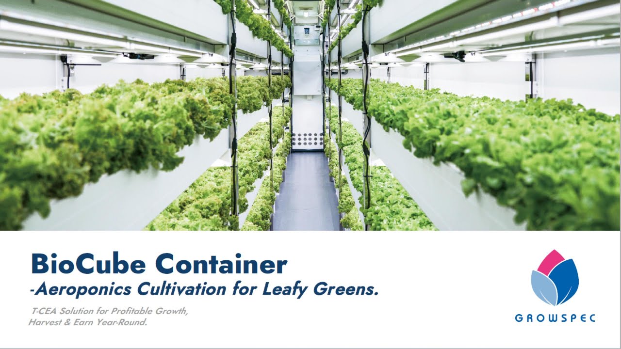 Our Container Farm Just Got an Upgrade 🚀 | What’s New Inside #farming #container