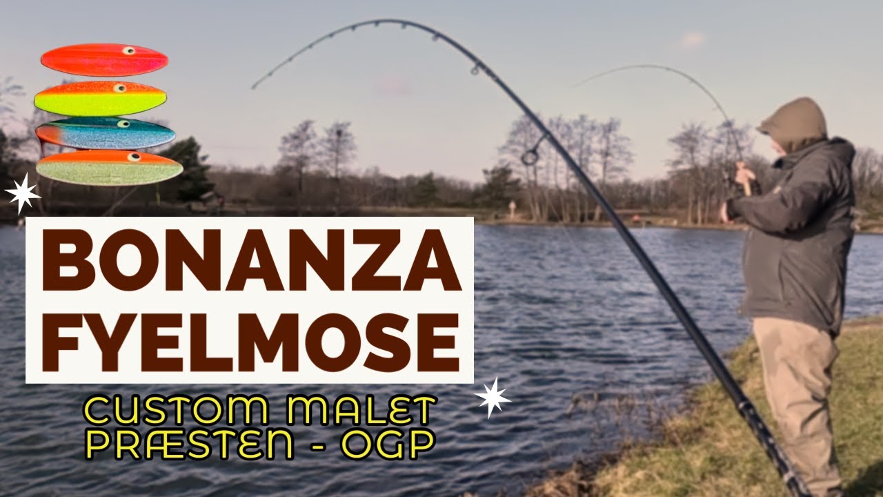 OGP malet PRÆSTEN gav BONANZA i Fyelmose Put and Take! Forelle in Dänemark, Fyelmose Put & Take