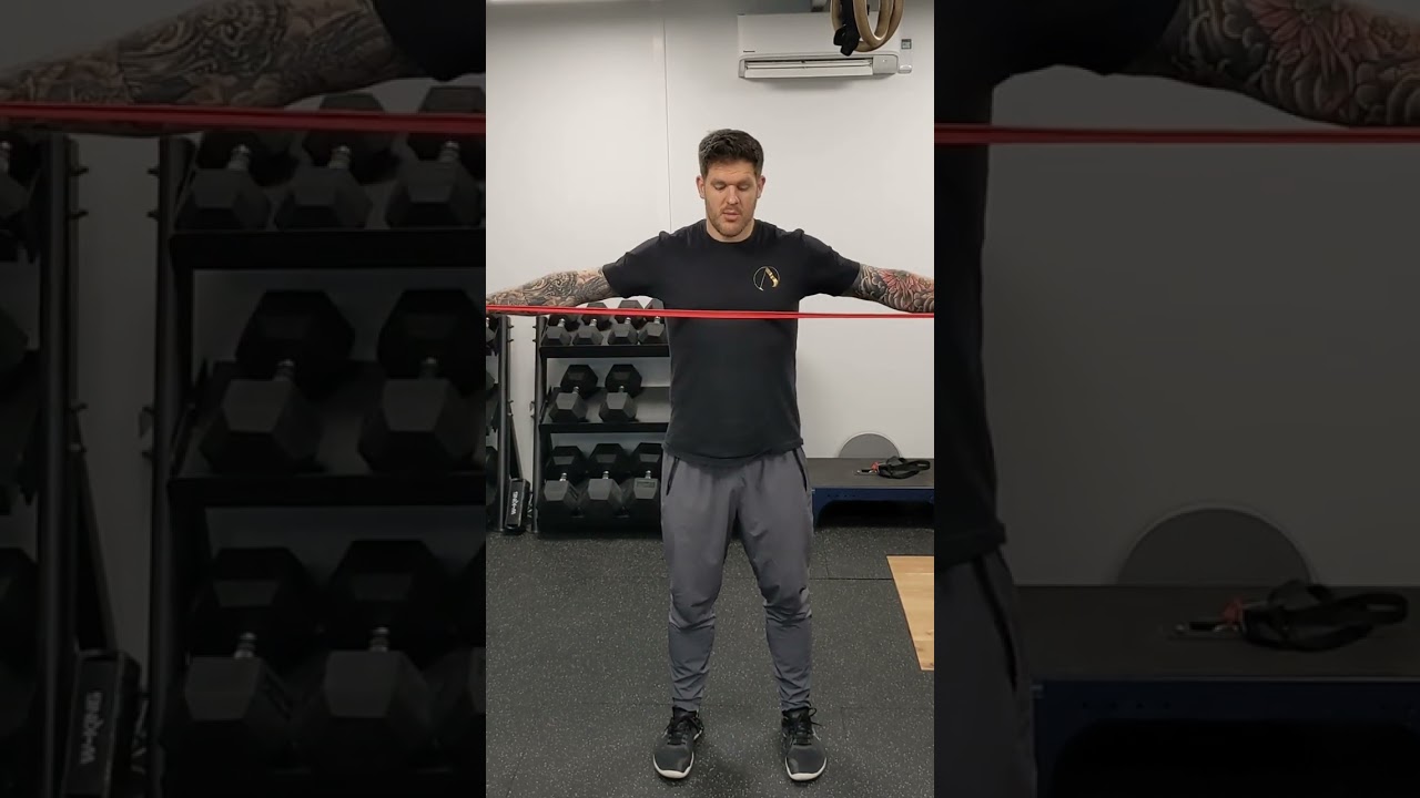 Absolute Performance Band Pull Aparts