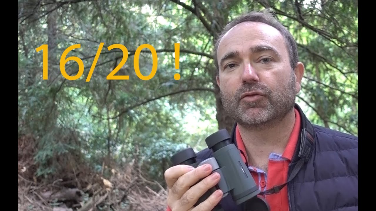 Test de la paire de jumelles KOWA BD II 8 X 32 XD : elle voit très très large !