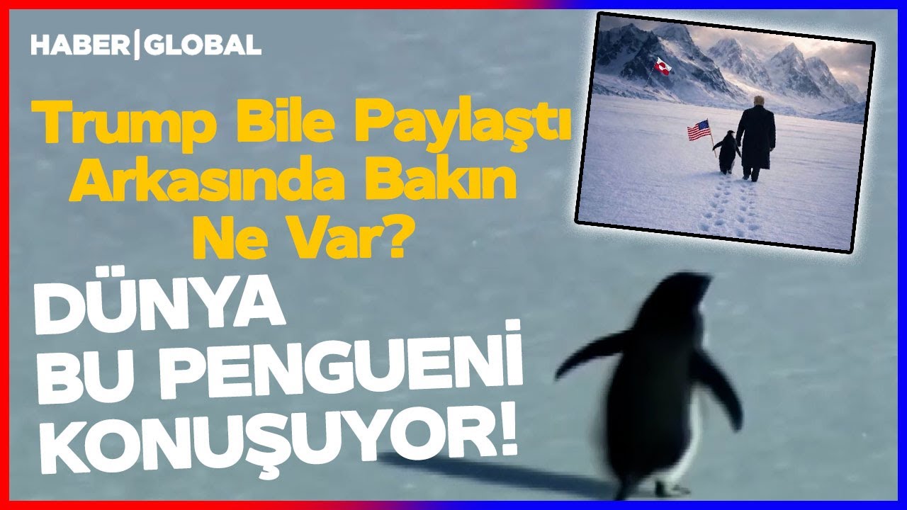 Herkes Bu Pengueni Konuşuyor | Dünyanın Konuştuğu Penguenin Arkasında Bakın Ne Var?