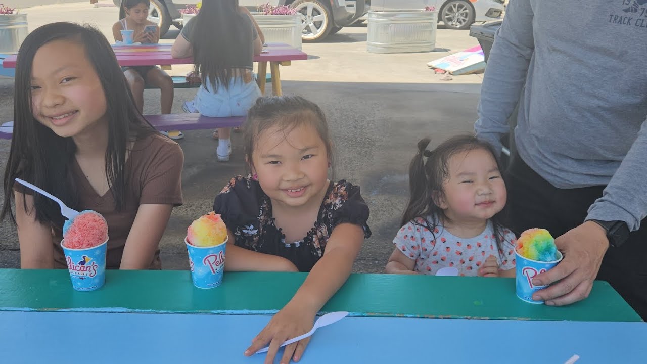 pelicans snoball