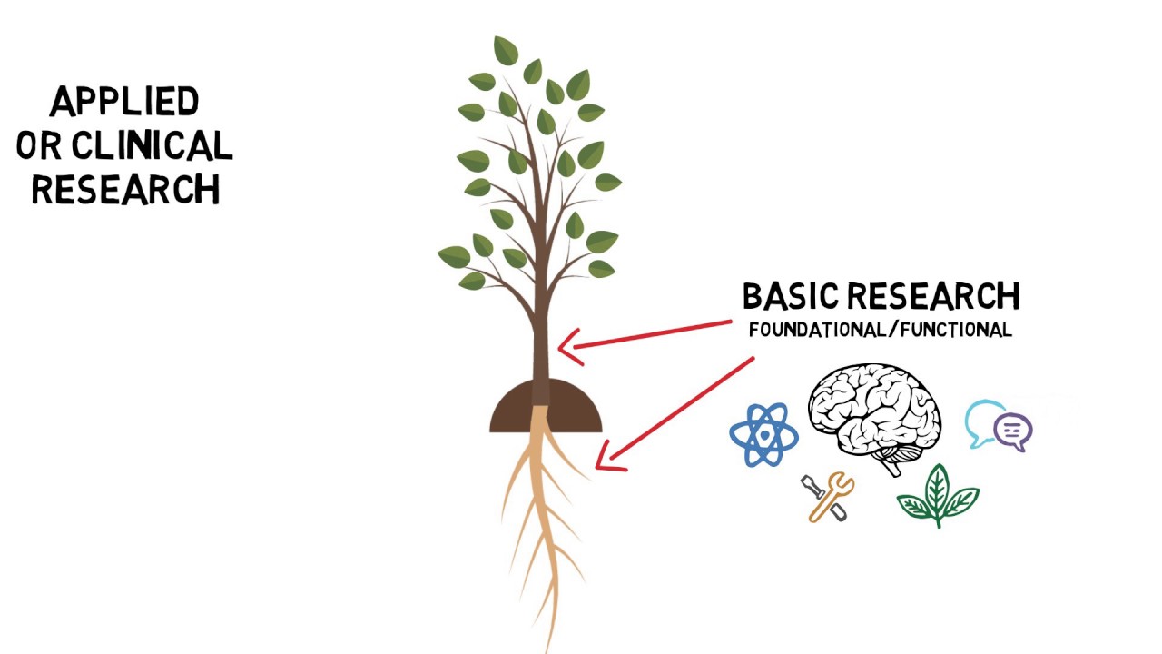 NIH OBSSR Strategic Plan 2017-2021: Priority #1