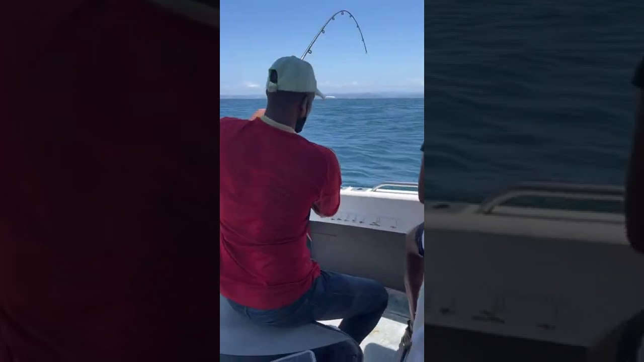 must catch fishing charters