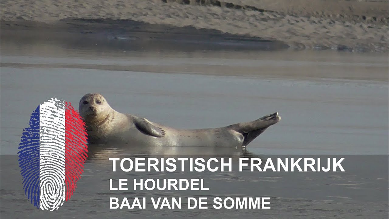 Frankrijk | Le Hourdel | Baai van de Somme
