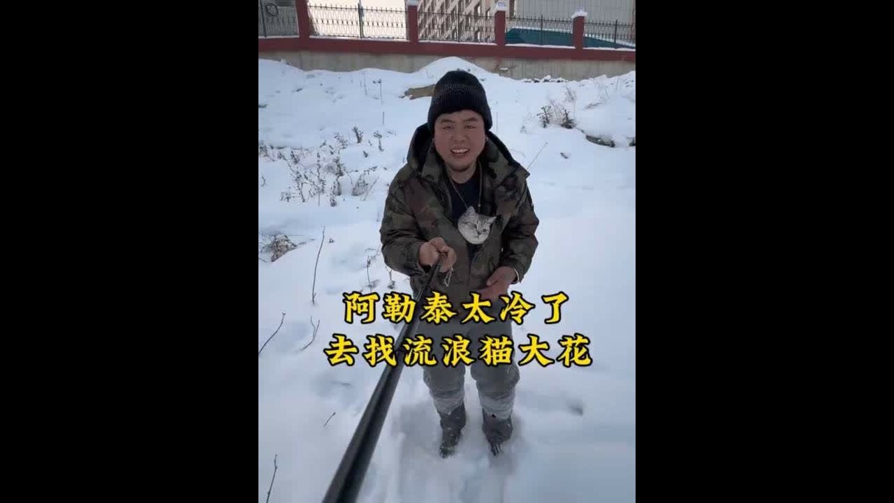 阿勒泰冬天太冷了，去寻找流浪猫大花 在阿勒泰零下三十多度的寒风里，我最怕的不是刺骨的冷，是那个每天准时来庇护所的小身影突然消失。我踩着深雪上心里只有一个念头，要把它找回来。万幸，在雪地里找到了冻得瑟