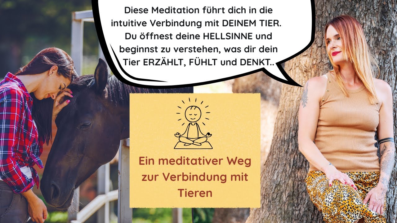 Geführte Meditation - Die Gedanken und Gefühle deines Tieres verstehen