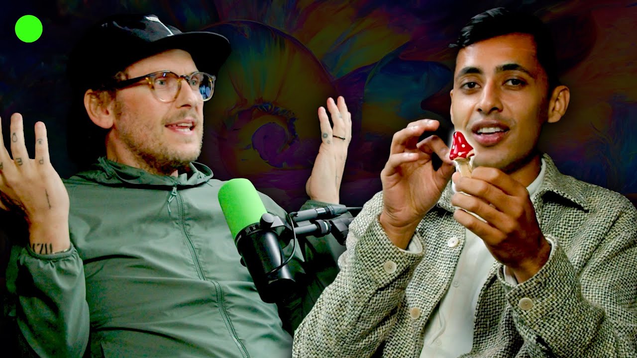 Can PSYCHEDELICS Treat ADHD Symptoms?
