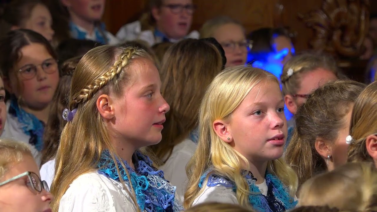 Zie de zon | Jubileumconcert Peter Wildeman