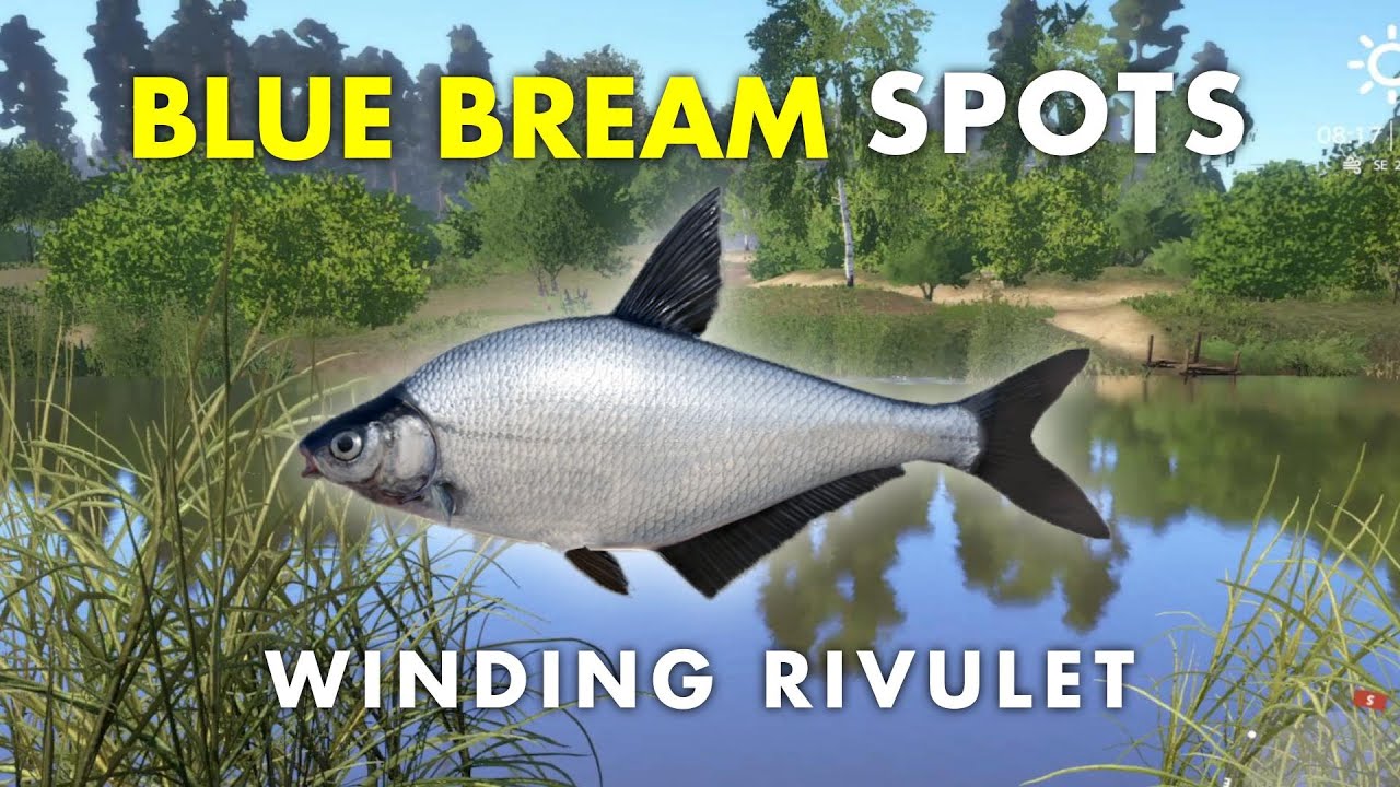 Russian Fishing 4 BLUE BREAM SPOT Winding Rivulet