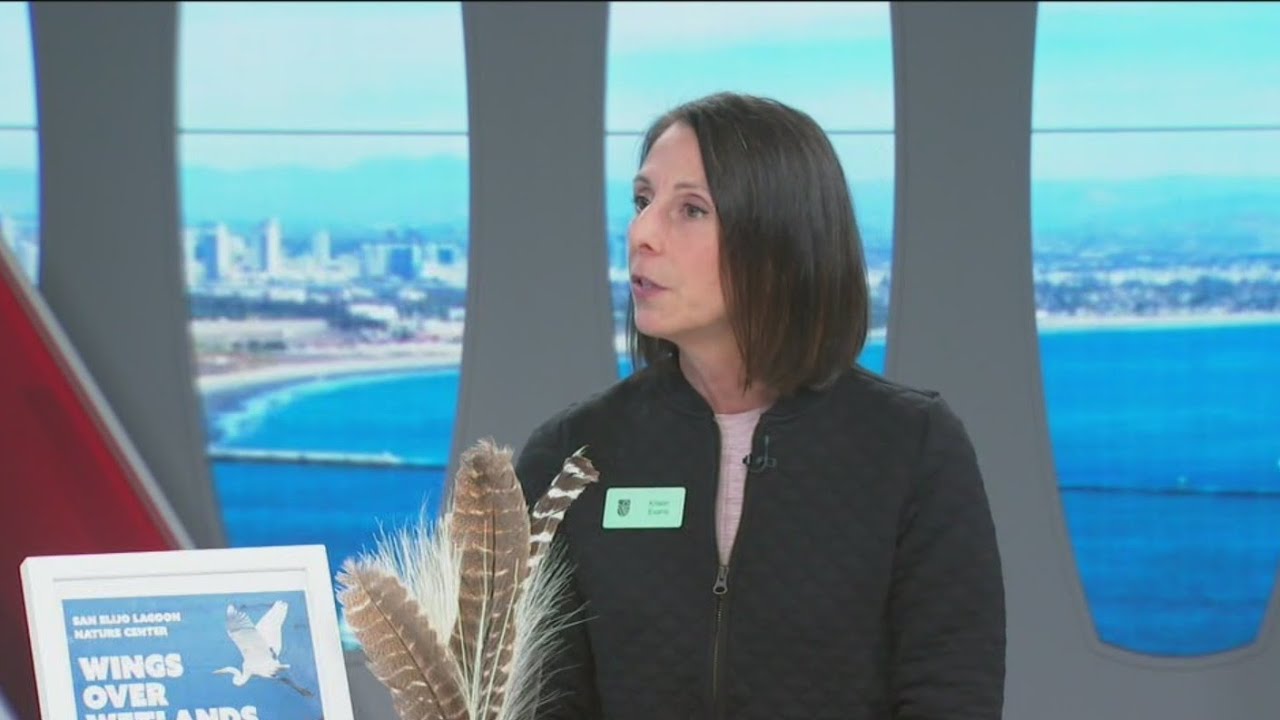 Nature Collective offering free events for bird lovers