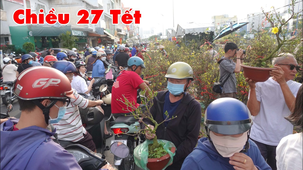 Đụng độ chiều 27 Tết chỉ vì cây mai 200k bến Bình Đông nghẹt khách đi săn mai đẹp