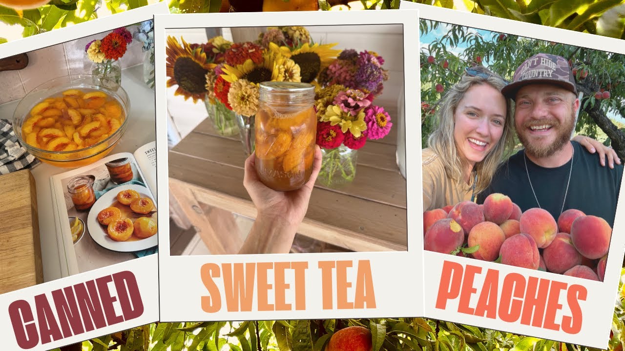 Canning Sweet Tea Peaches