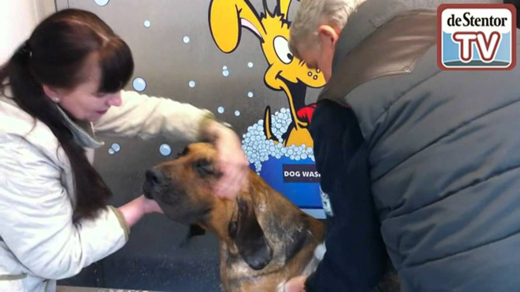 Hondenwasstraat in Deventer