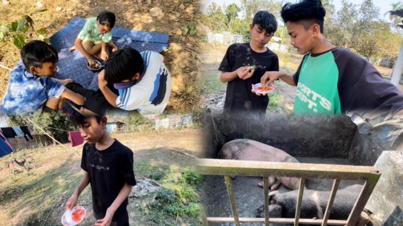 Simple vlog