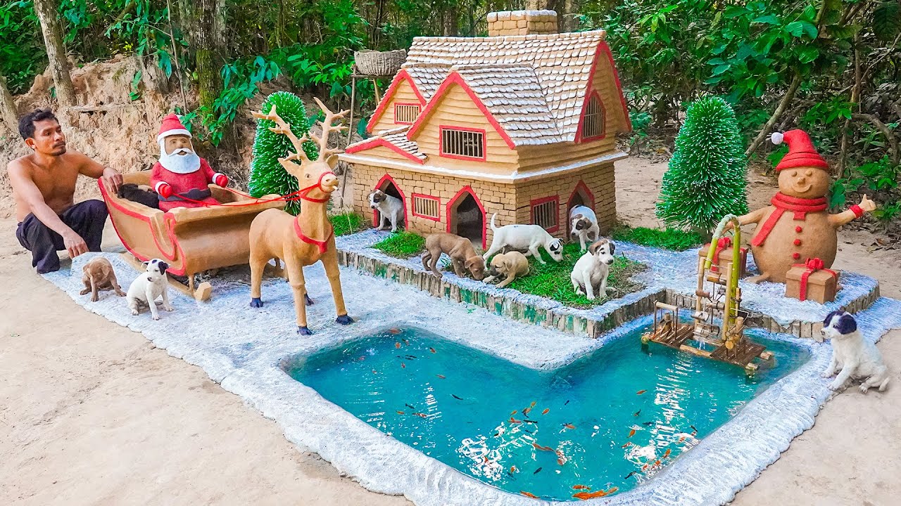 Rescue Abandoned Puppies and Build Dog House for Christmas