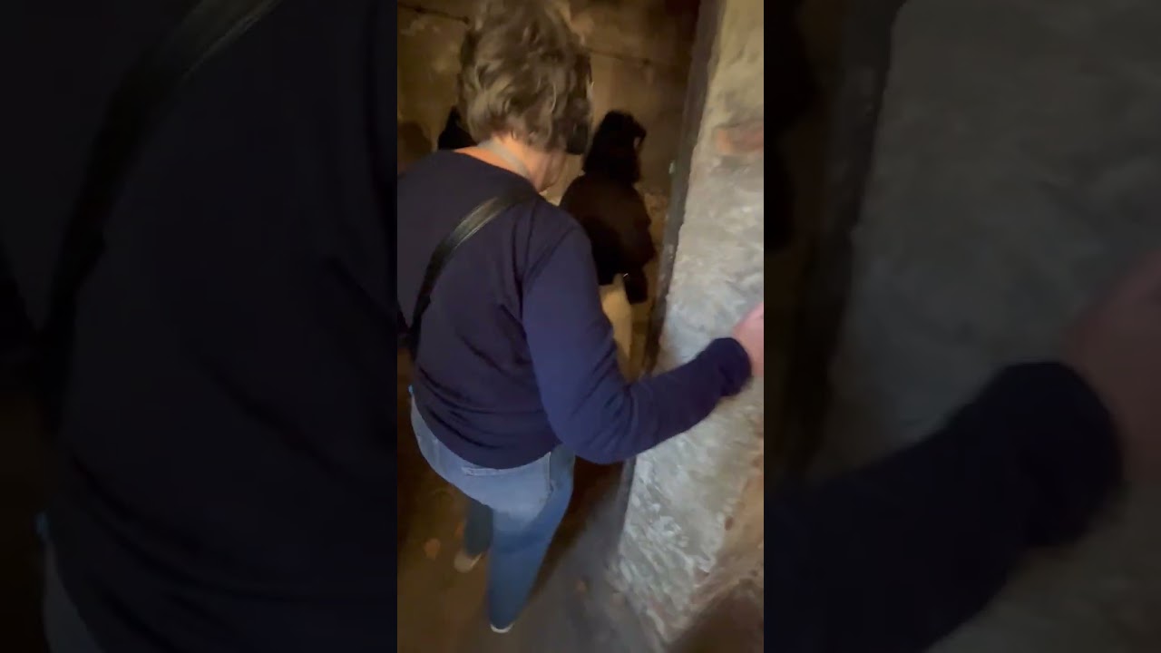 Walking into the gas chamber at Auschwitz